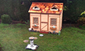 You as well unpainted playhouse.